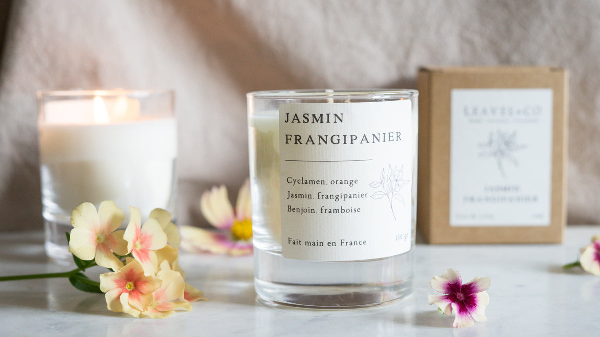 Bougie Jasmin Frangipanier