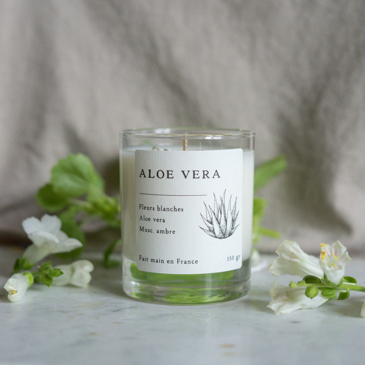 Bougie Aloe vera