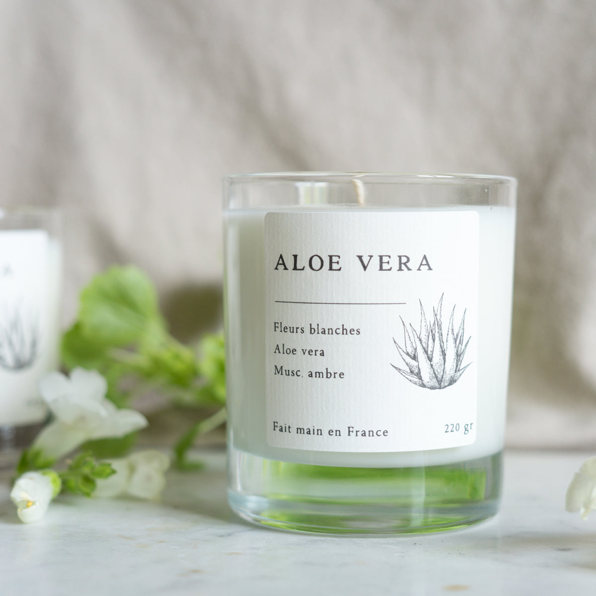 Bougie Aloe vera