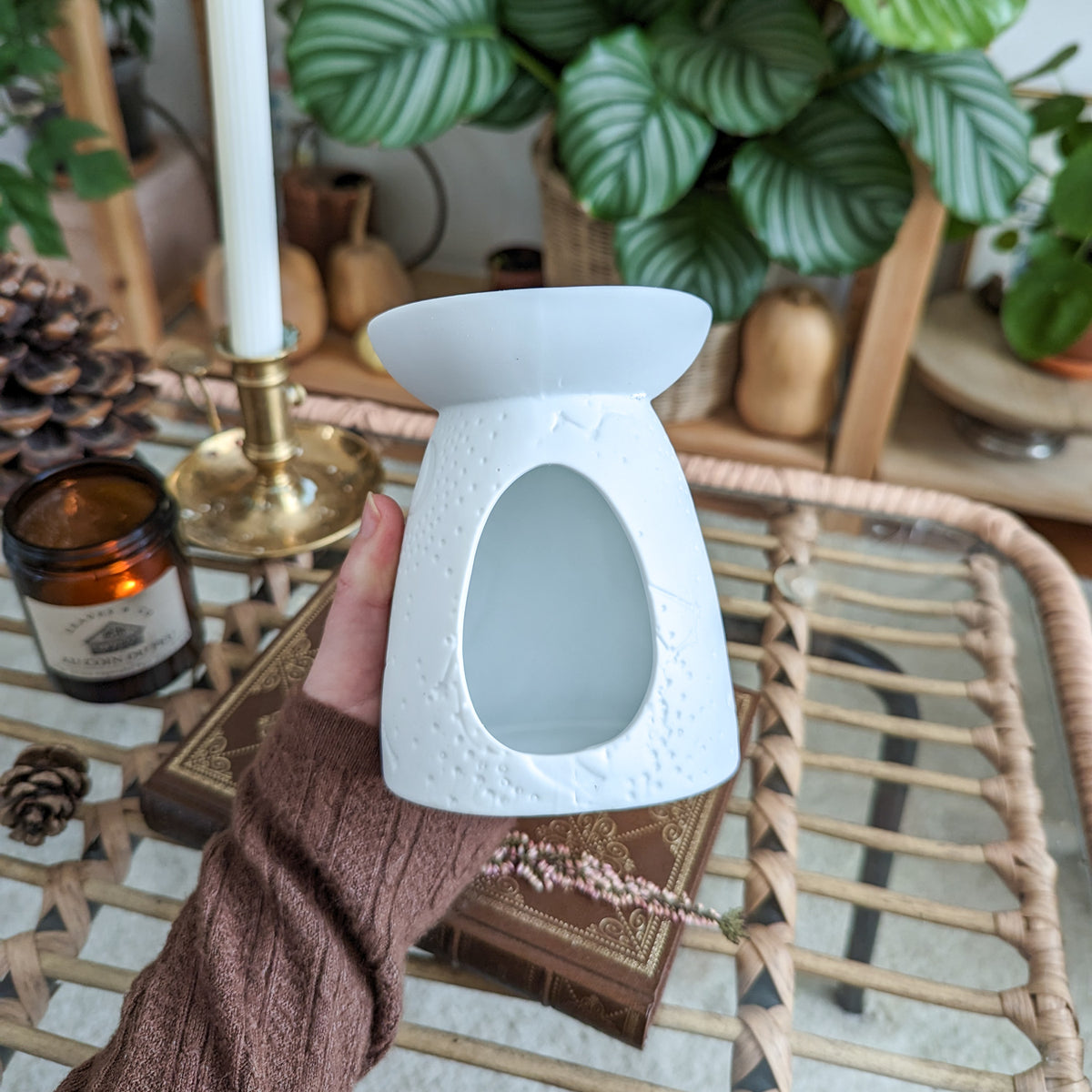Astra Brule parfum pour fondant de cire