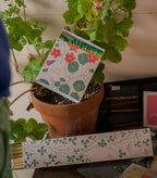 Boîtes d'allumettes longues - Lucky matches