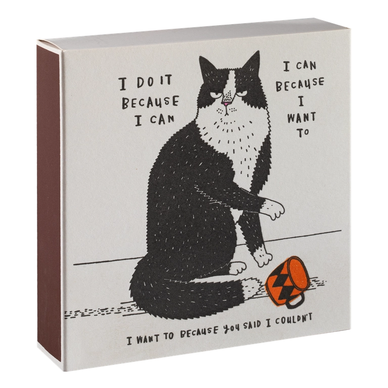Boîte d'allumettes "I Do It Because I Can"