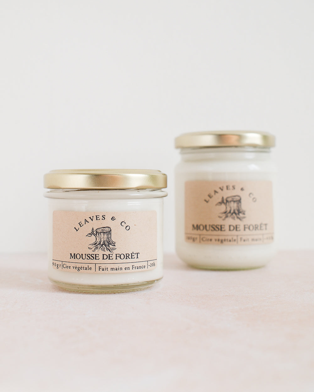 Bougie Mousse de forêt
