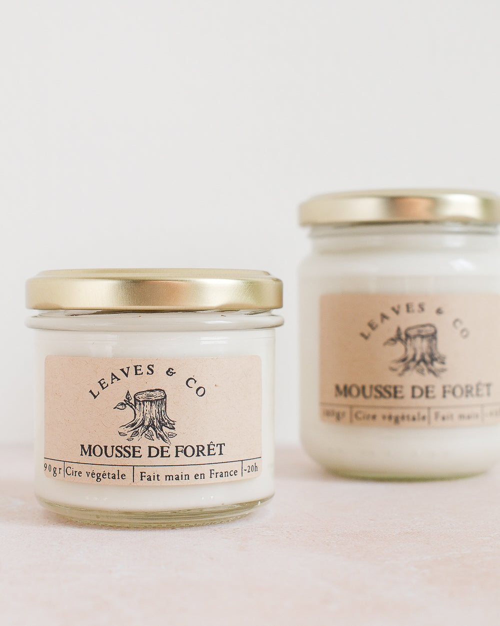 Bougie Mousse de forêt